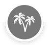 CodeOasis